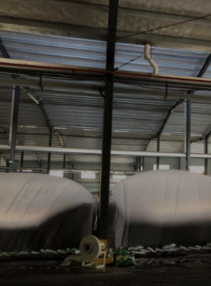 尊龙凯时人生就是搏 -官网首页